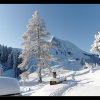 20120205_1276